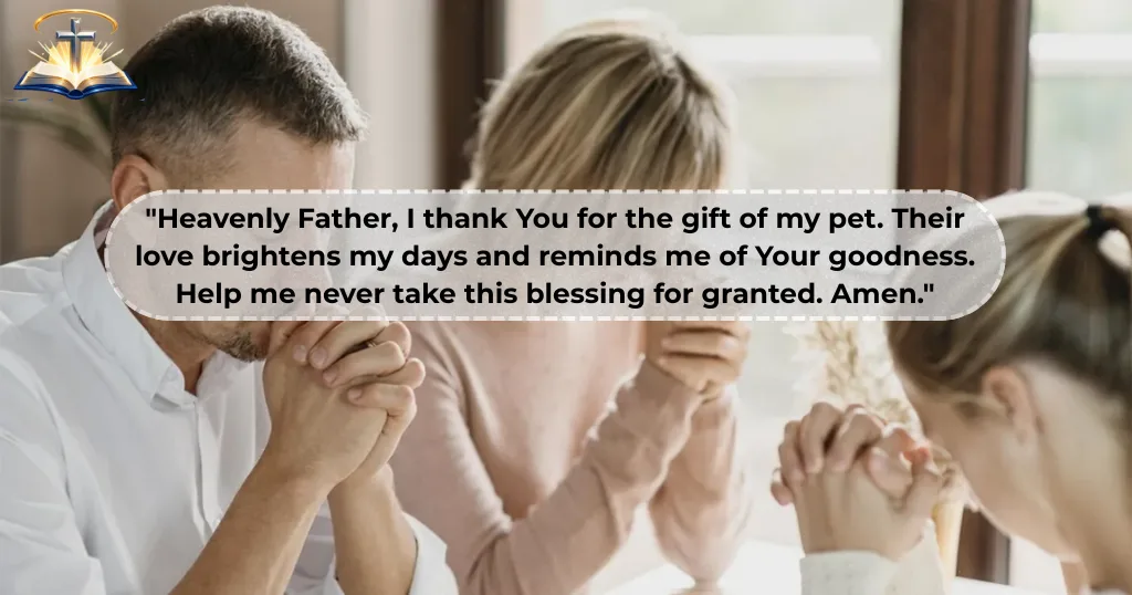 daily-prayer-for-pets