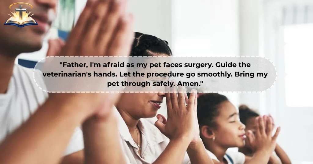 healing-prayer-for-sick-pets